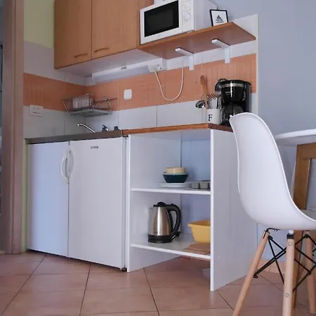 Goga Apartment Promajna