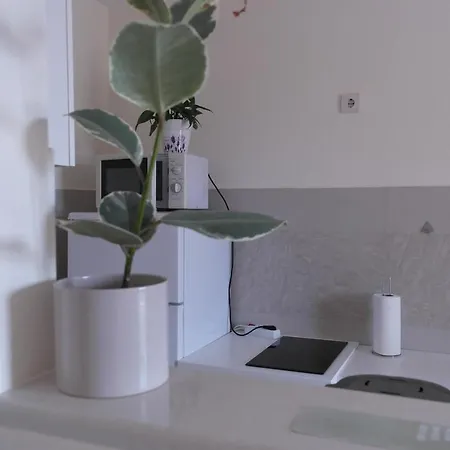 Apartment Goga *