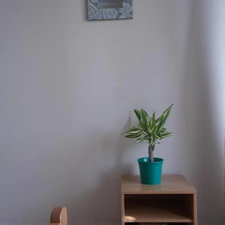Goga Apartment Promajna